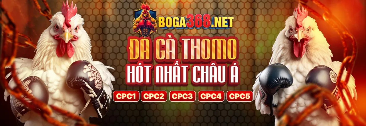 Sòng bạc trực tuyến zb368 với các trò chơi đỉnh cao và người chia bài trực tiếp